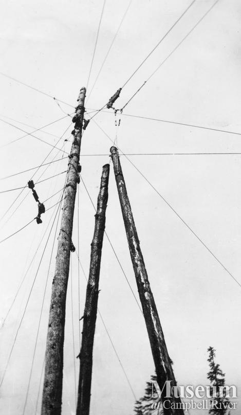 A fully rigged spar tree