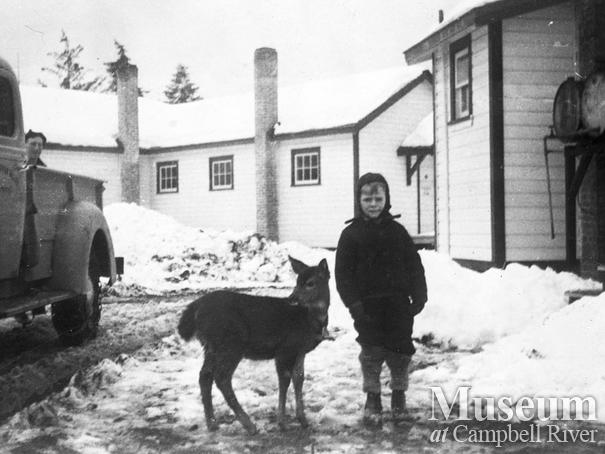 Iron River Logging Co. camp in Oyster Bay