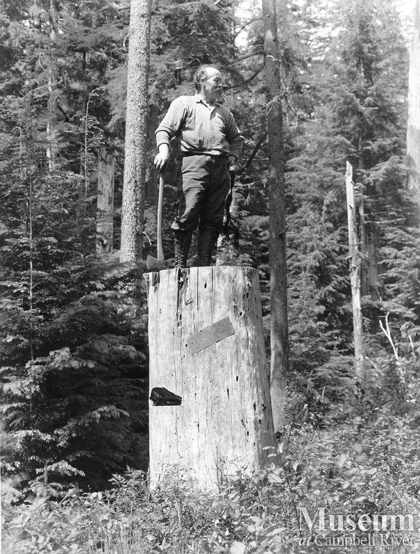 An old Fir stump