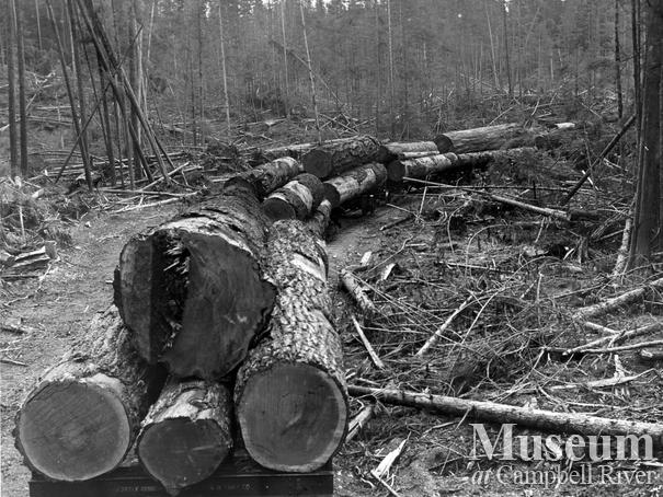 Canadian Forest Products Ltd. Camp at Woss