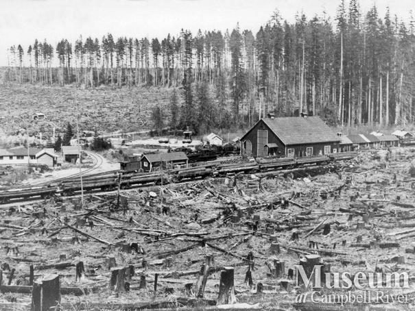 Elk River Timber Co. Camp 8 near Echo Lake