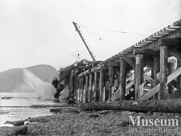 Log dump at Elk Bay