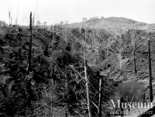 Burned out area at Quinsam Flats