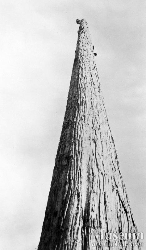 Bendickson Logging operations