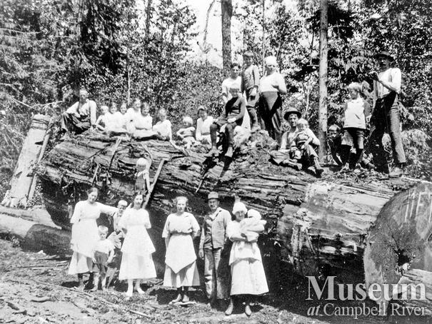 Bendickson Logging operations on Hardwicke Island