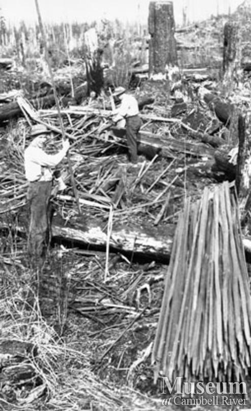 Reforestation at Knox Bay on Thurlow Island 