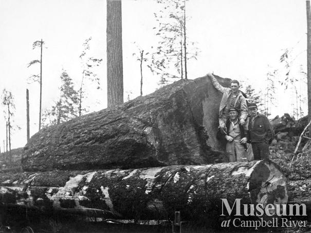 Bloedel, Stewart and Welch Camp 4
