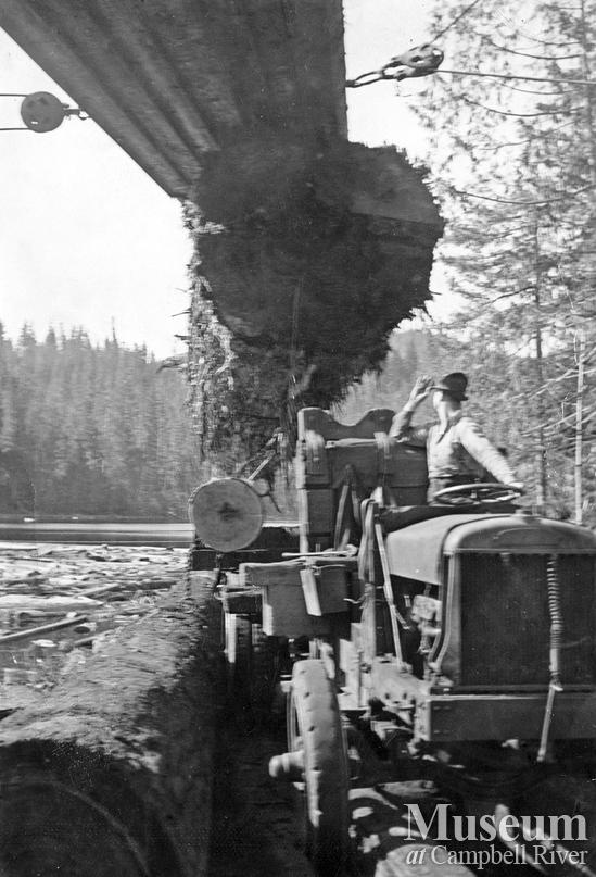 Byles and Groves logging