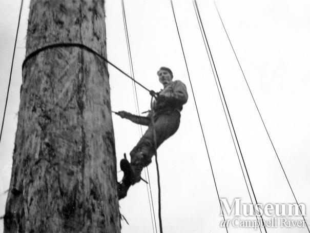 Byles and Groves Logging