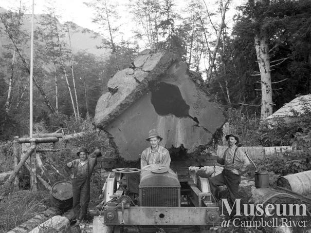 Dot Logging Co.