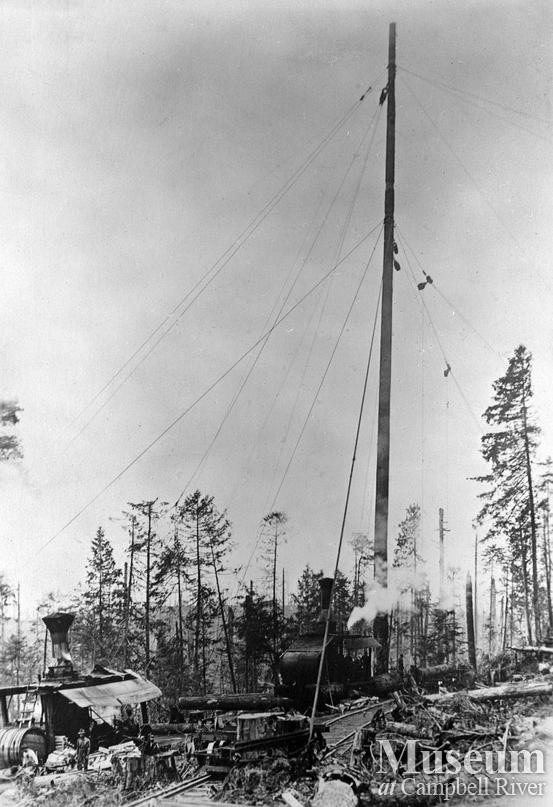 A rigged spar tree and donkey engine