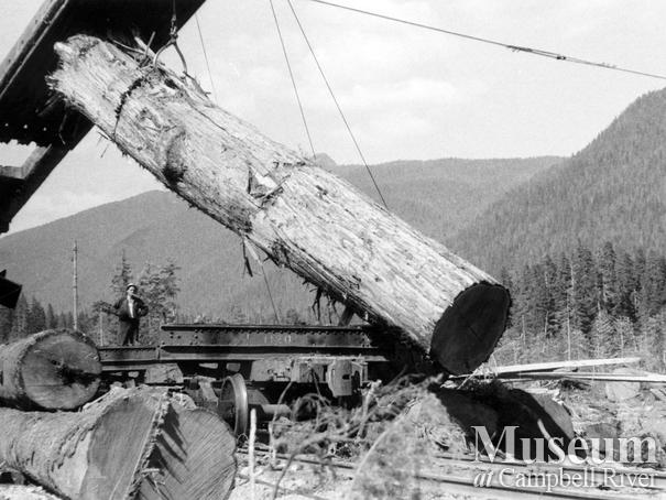 Loading logs