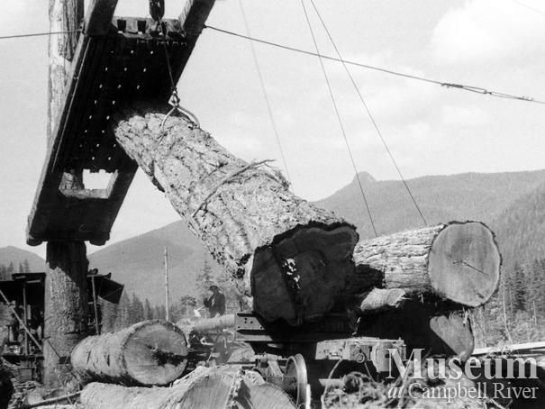 Loading logs