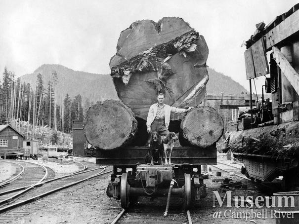 A loaded train car