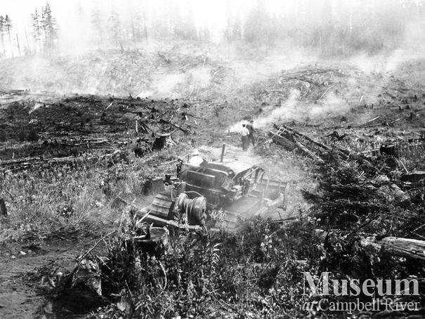 After the Sayward Fire