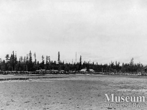 View of the Oyster Bay Logging Camp