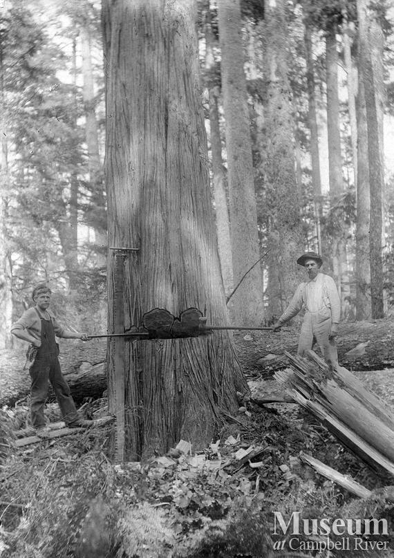 Burchett Bros. Logging Co. at Port Neville