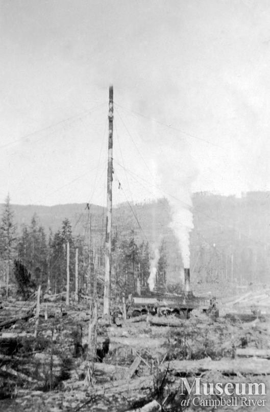 Rigged spar tree and steam donkey operating